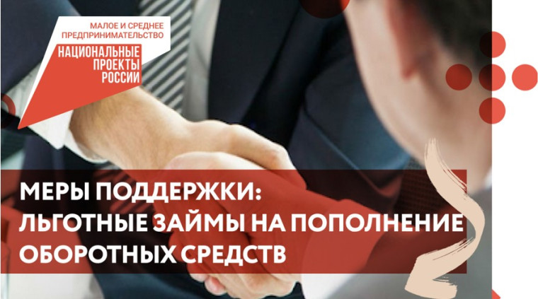Государственная финансовая поддержка. Государственная финансовая поддержка.