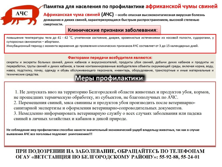 Памятки по профилактике заболеваний домашних животных. Памятки по профилактике заболеваний домашних животных.