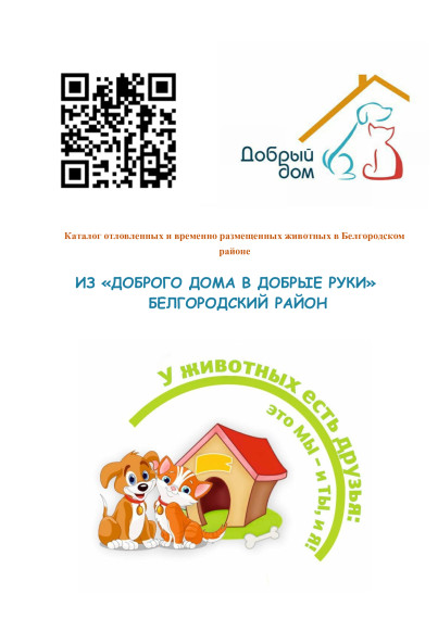 Из доброго дома в добрые руки. Из доброго дома в добрые руки.