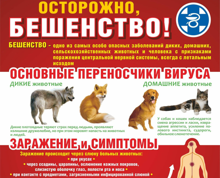 Памятка о мерах по профилактике распространения бешенства.. Памятка о мерах по профилактике распространения бешенства..