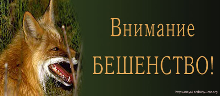 Внимание! Бешенство!. Внимание! Бешенство!.
