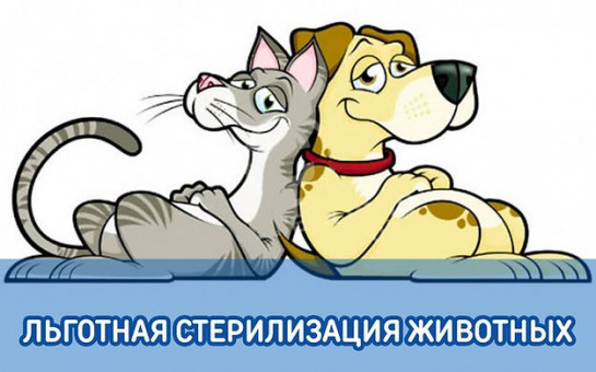 Льготная стерилизация домашних животных. Льготная стерилизация домашних животных.
